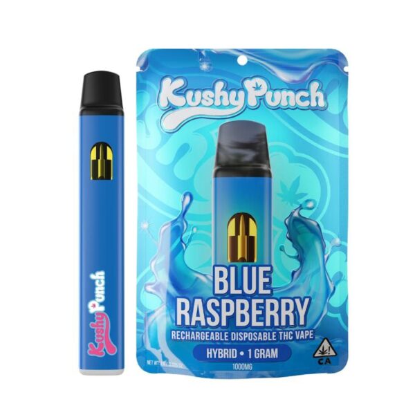 Kushy Punch Raspberry